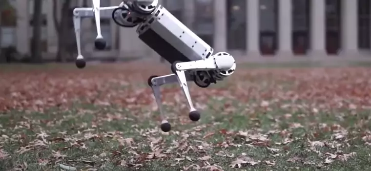 Robot Mini Cheetah z MIT potrafi już robić salta do tyłu