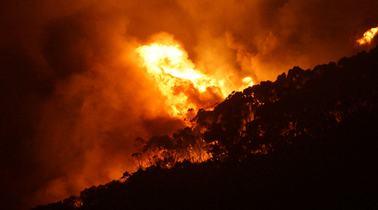 Ausztráliában a bozóttüzek miatt rengeteg ház veszett oda/ Fotó: AFP