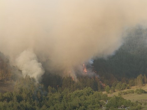 Šumski požar 