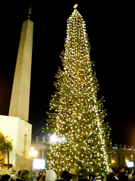 Vatican_Christmas_Tree