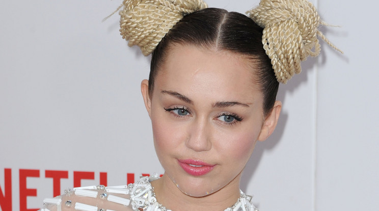 Miley Cyrus szinte nem is hasonlít kiskori énjére/Fotó:Northfoto