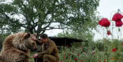 Co o najsłynniejszym niedźwiedziu II wojny światowej mówią gwiazdy pierwszego polskiego filmu o Monte Cassino