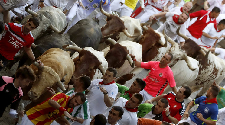Pamplonai bikafuttatás /Fotó: MTI
