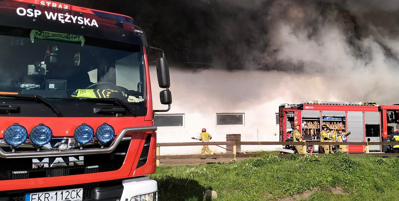 Pożar stadniny koni w Bronkowie. Runął dach budynku