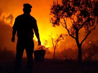 portugalia pożar las bezrobotny