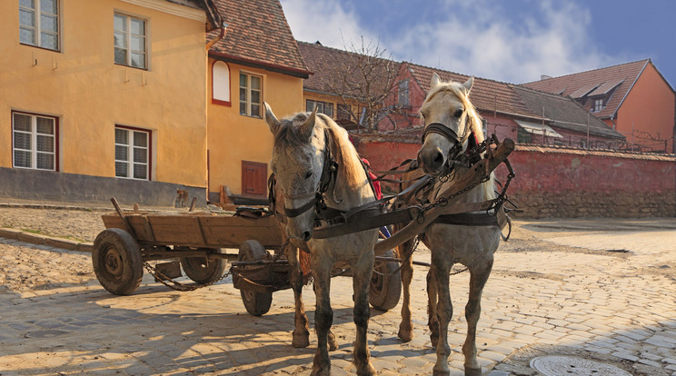 Szekér Segesvár utcáján / Fotó: Northfoto