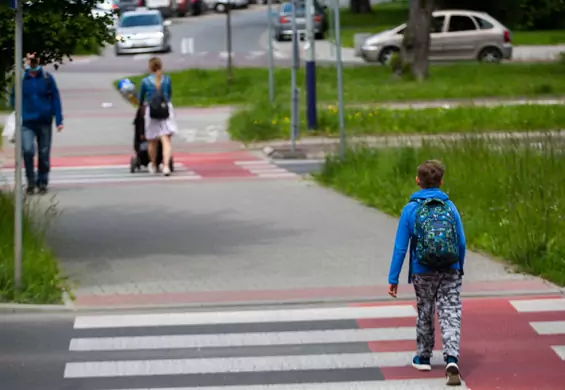 Są efekty zmian w kodeksie drogowym. W 2021 r. liczba zabitych pieszych spadła o 40 proc.