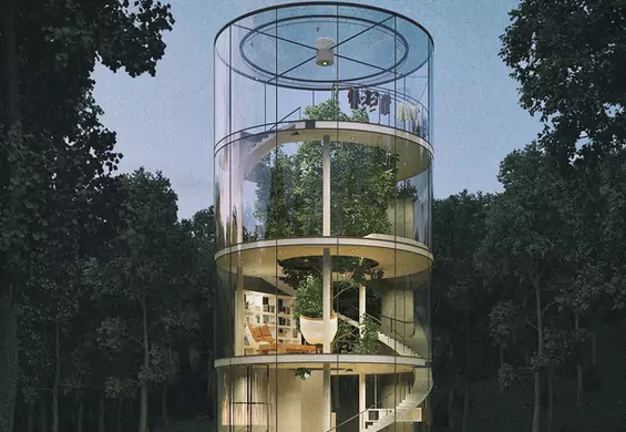 Niesamowity dom zbudowany wokół drzewa, być może stanie się rzeczywistością