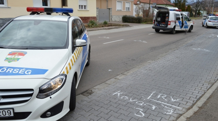 A busz elgázolt egy nőt, aki a helyszínen meghalt/Fotó: police.hu