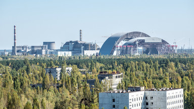 Europa kupuje drewno z Czarnobyla