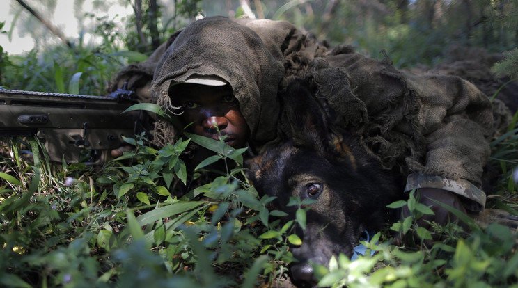 Kutyákkal a dél-afrikai vadorzók ellen / Fotó: MTI