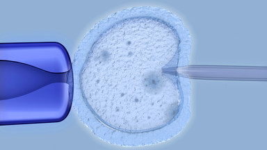 "Rzeczpospolita": in vitro nie do przyjęcia