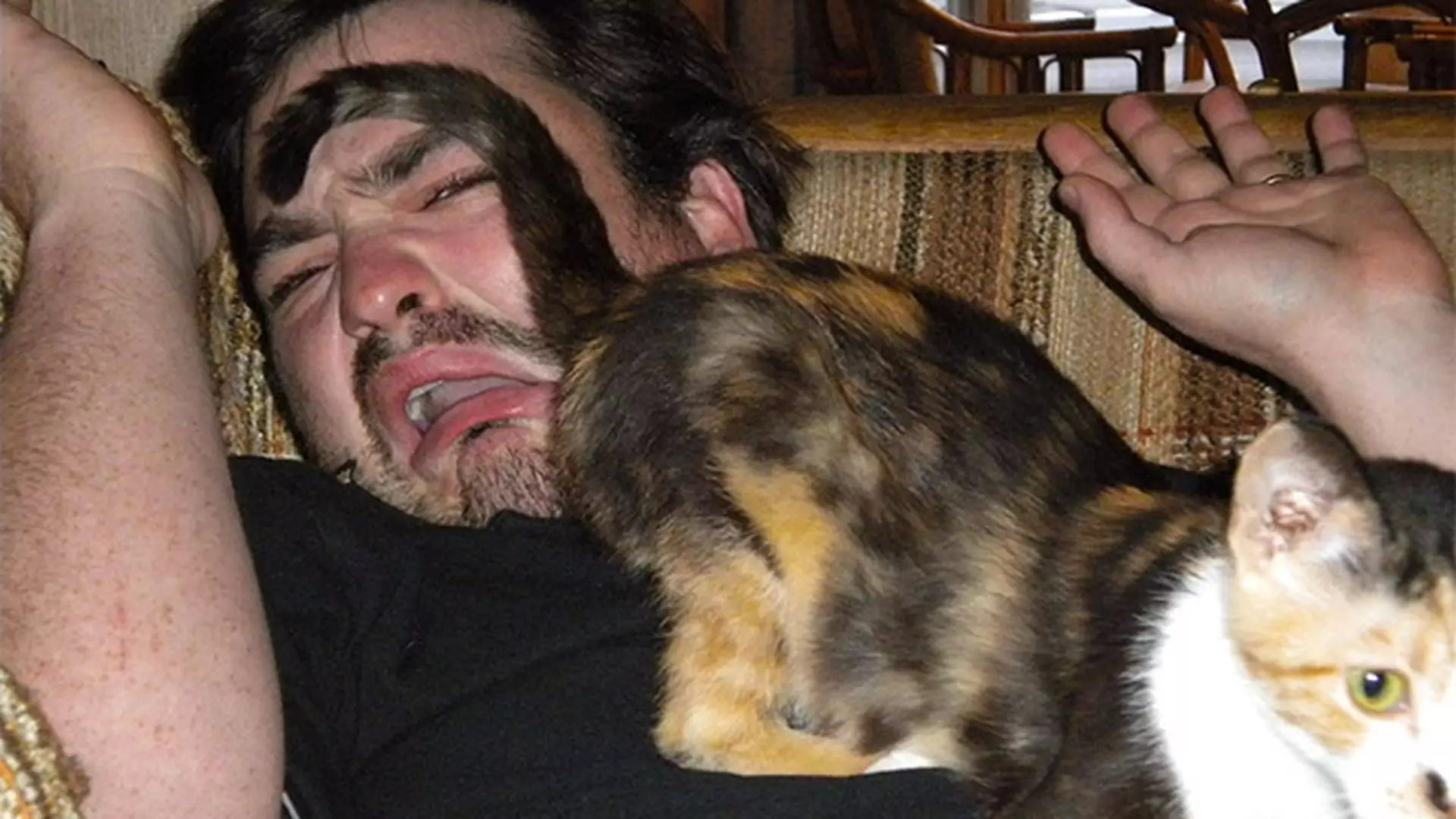 Zobacz najgorsze zdjęcia facetów z kotami