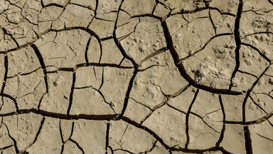Rząd Litwy ogłosił w kraju stan klęski żywiołowej z powodu suszy