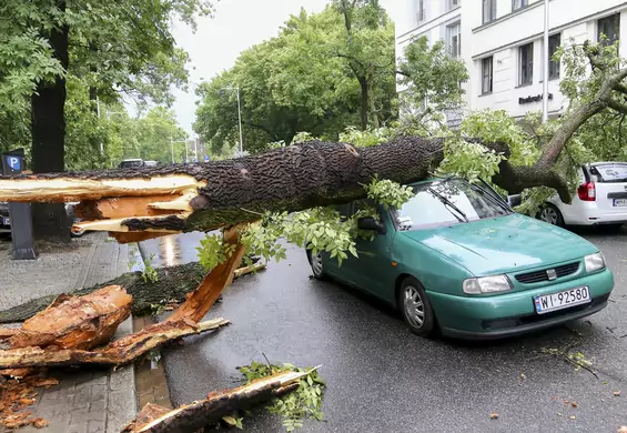 Krajobraz jak po bitwie. Te zdjęcia najlepiej pokazują, jaką siłę miała nawałnica