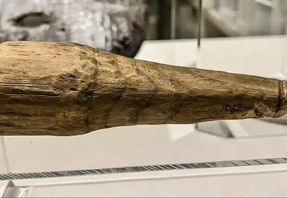 Archeolodzy odkryli dildo z czasów Chrystusa. Wcześniej wzięto je za coś innego