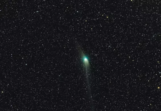 Zielona kometa blisko Ziemi. Ostatnio widzieli ją neandertalczycy