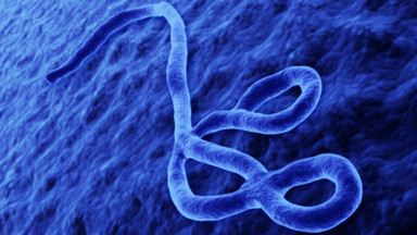 Choroby gorsze niż ebola: grypa, zakażenie wirusem HPV i drobnoustrojami