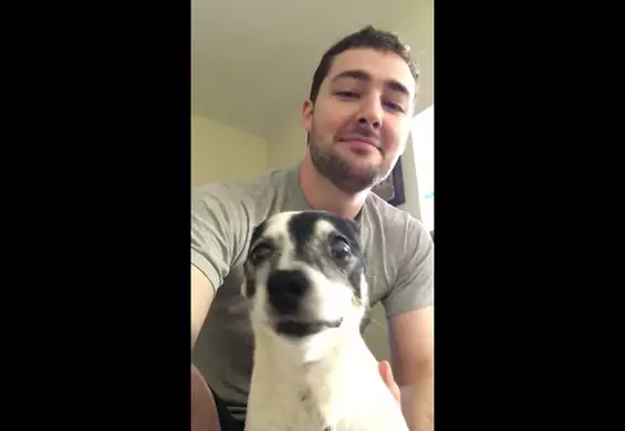 Ten pies kicha w najzabawniejszy sposób na świecie. Musisz to usłyszeć