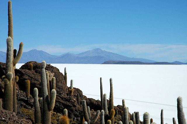 Galeria Boliwia - góry i wyżyny, obrazek 11