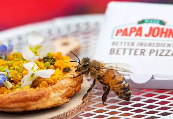 Znana sieciówka zrobiła mini pizzę dla pszczół