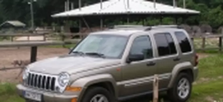 Jeep Cherokee : Terenowy SUV