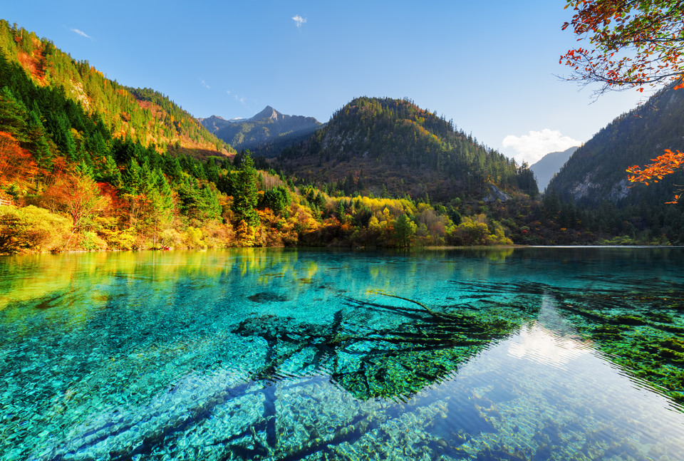 Jezioro Pięciu Kwiatów, Jiuzhaigou, Chiny