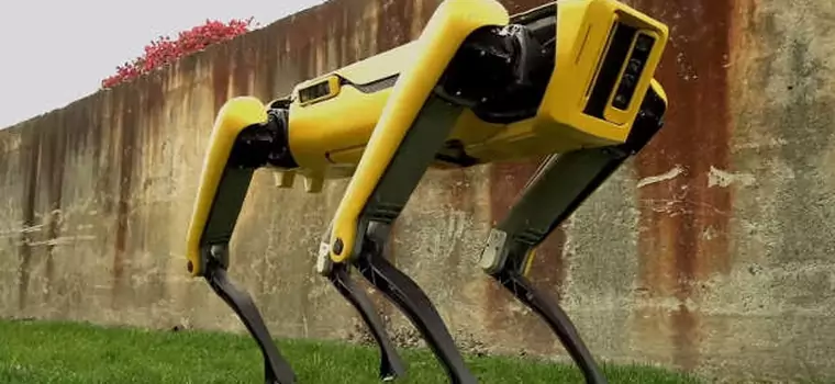 Robot Boston Dynamics pojawi się w sprzedaży w przyszłym roku