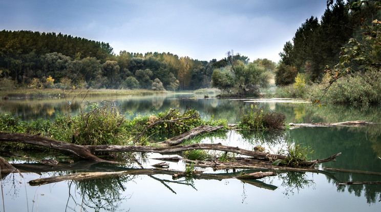 A nagy esőzések miatt megemelkedett a vízszint / Fotó: Pixabay