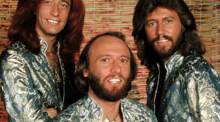 Maurice Gibb egykori Bee Gees-tag szerelemgyerekének vallja magát egy kevéssé ismert angol zenész /Fotó: Profimedia-Reddot