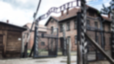 Wojewoda lubelski chce zmiany nazw muzeów na Majdanku i Auschwitz-Birkenau