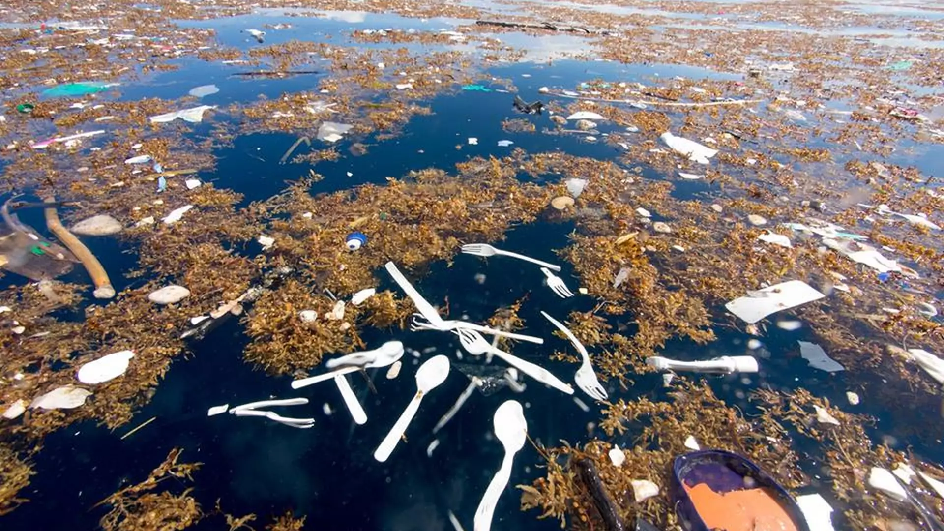 Gigantyczne wysypisko śmieci na morzu. Te zdjęcia dają do myślenia