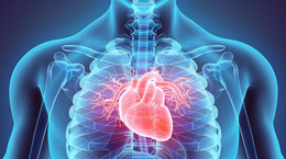 Zapalenie mięśnia sercowego - przyczyny, objawy, leczenie
