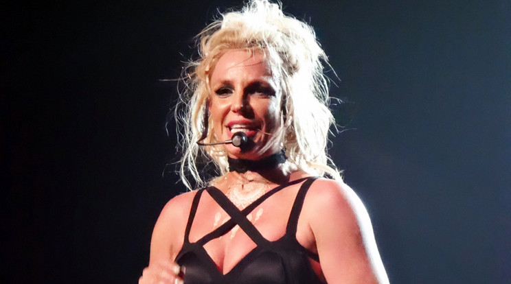 Britney letolta az alsóját / Fotó: Northfoto