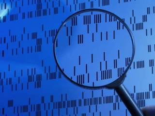 kod DNA lupa biotechnologie nieśmiertelność