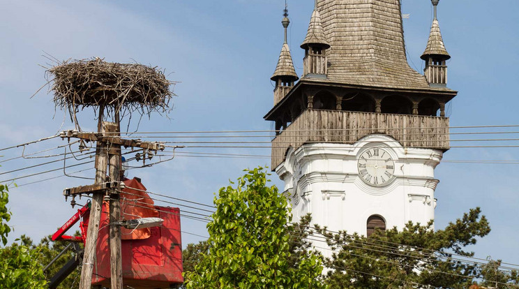 A mikepércsi templom szomszédságában található fészekben volt egy elpusztult gólya