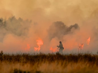 Strażak walczący z pożarem lasu