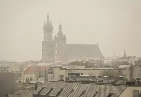 Zła wiadomość dla mieszkańców polskich miast. Życie w nich może wpędzić w groźną chorobę