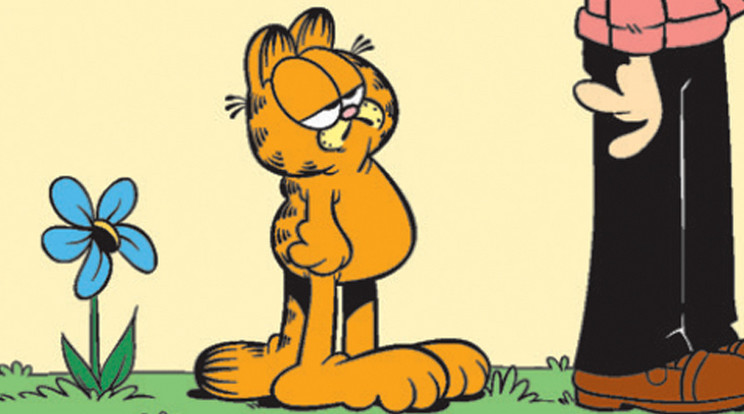 Garfieldot nem nyűgözi le a természet