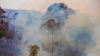 Naukowcy zdradzili powód historycznej suszy w Amazonii