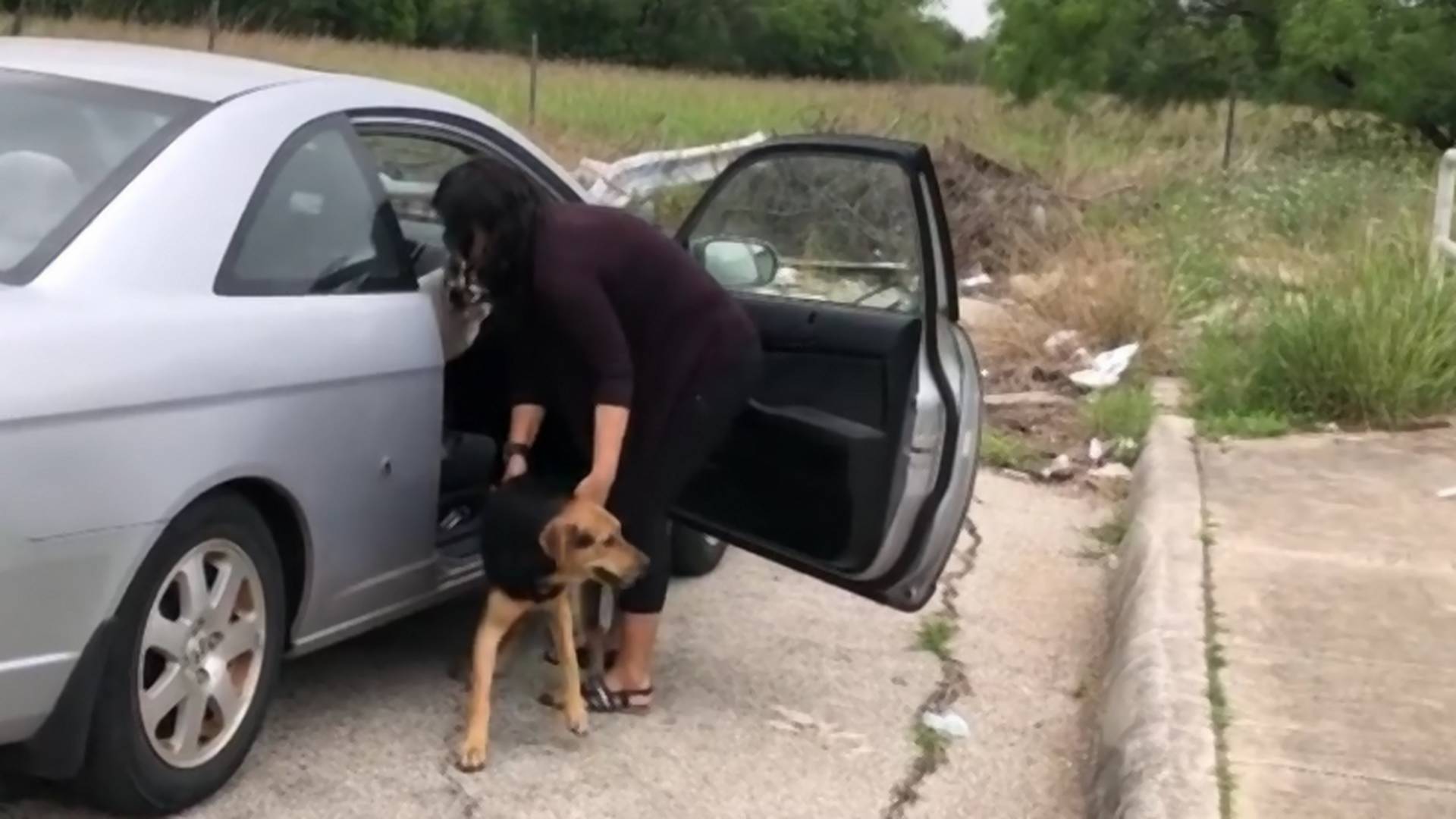 Pokušala je da izbaci pse u divljini - sad se grdno kaje