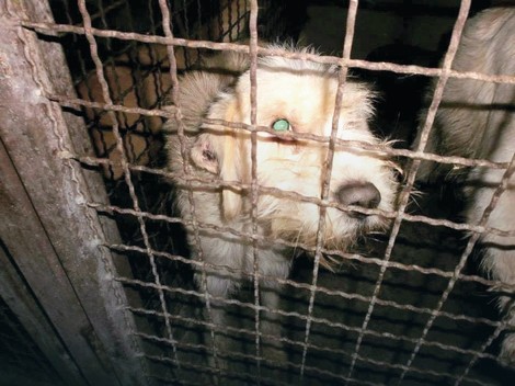 Ovako je izgledao u kraljevačkom prihvatili&scaron;tu 