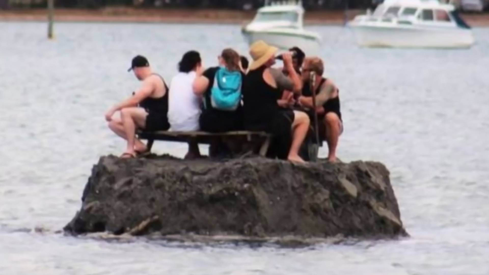 Novozelanđani napravili zasebno ostrvo da bi mogli da piju