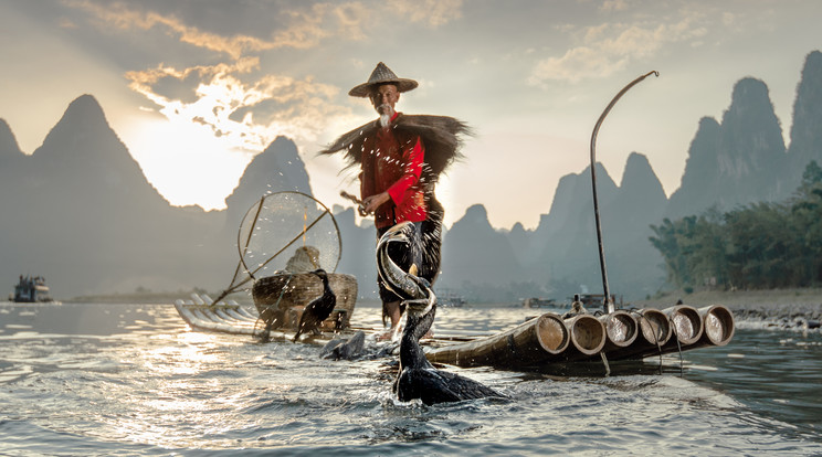 A kínai halászok több kormoránt is visznek magukkal a munkába, még a pihenésben is segítenek nekik. /Fotó: Northfoto