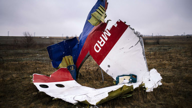 Tragedia lotu MH17. Prywatny detektyw ma nowe informacje na temat katastrofy?