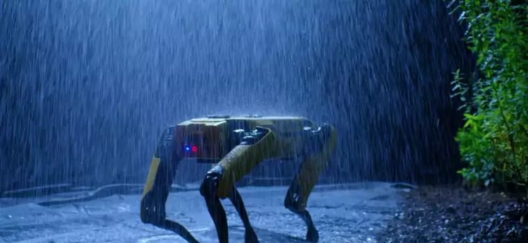 Robot Boston Dynamics trafia do sprzedaży. To pies-robot od firmy znanej z legendarnych filmików na YouTube