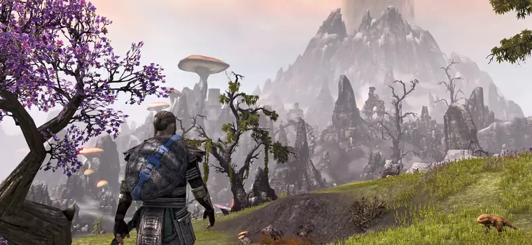 The Elder Scrolls Online - zmiana wymagań sprzętowych zostawiła część graczy na lodzie