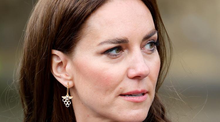 Felháborodtak az emberek Katalin hercegné családtagjára Fotó: Getty Images