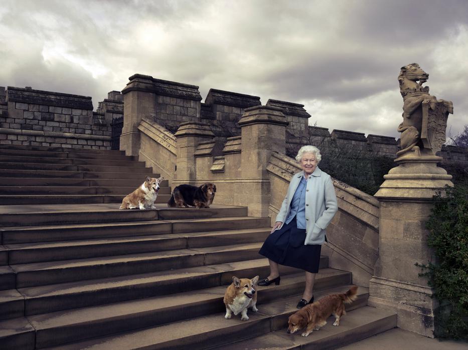 Erzsébet kutyái pontosan
öt órakor, teaidőben étkeznek, ételüket egy udvaronc készíti, de a királynő tálalja nekik /Fotó: Profimedia-reddot