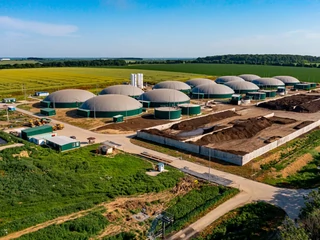 Biogazownia w Polsce?